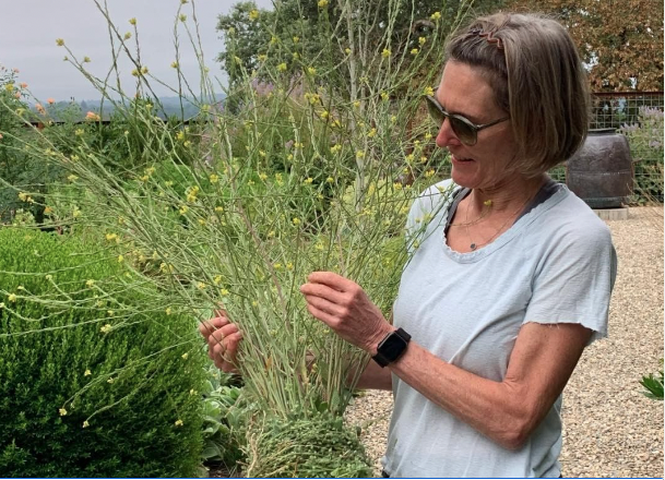 Compostable Floral Foam Startup Wins MN Cup