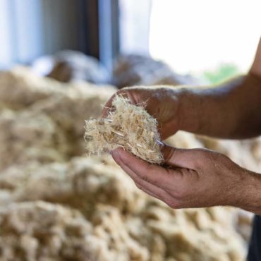 TCB Talks: The Business of Hemp