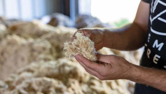TCB Talks: The Business of Hemp