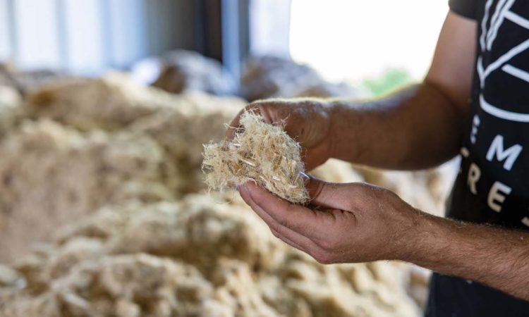 TCB Talks: The Business of Hemp