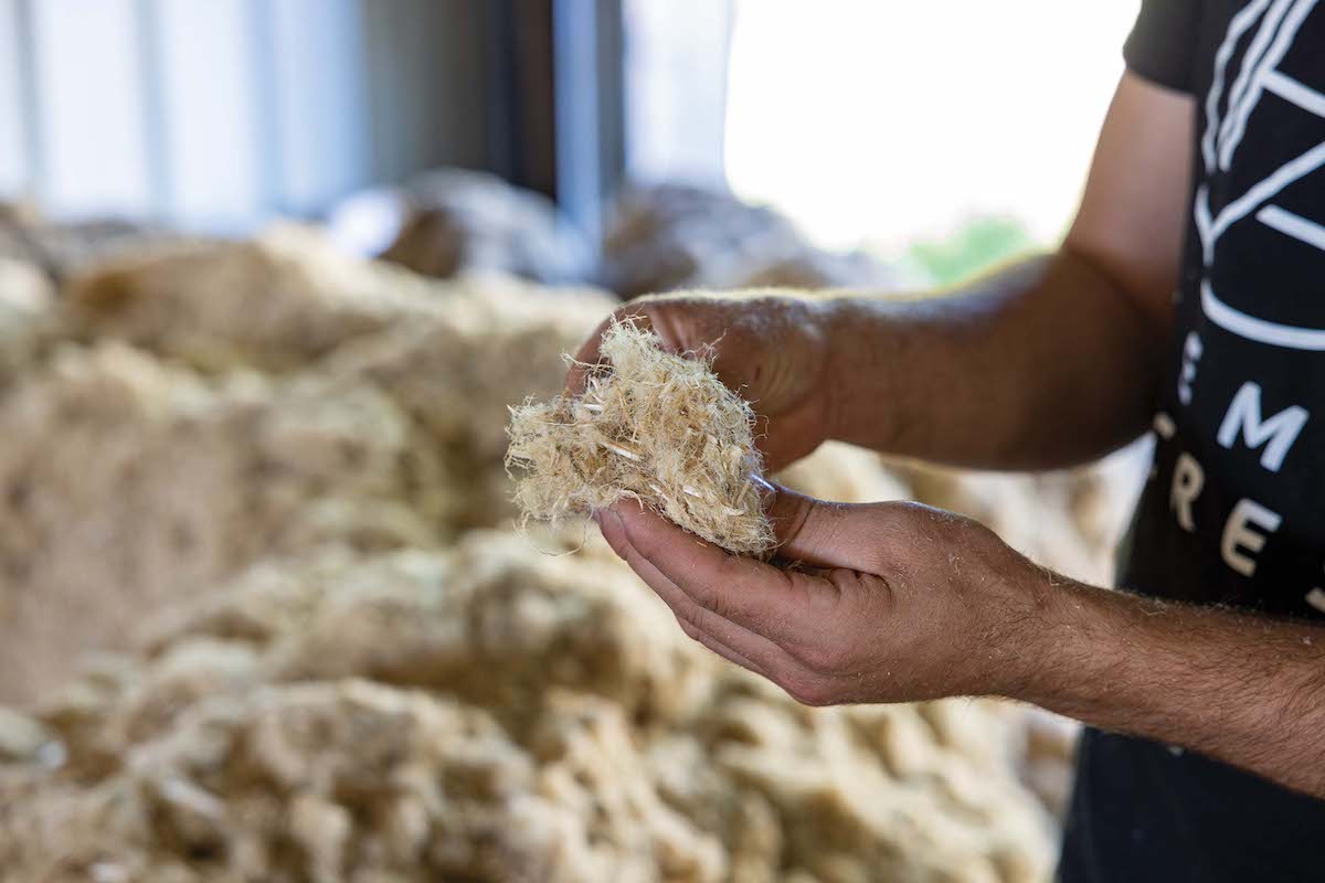 TCB Talks: The Business of Hemp