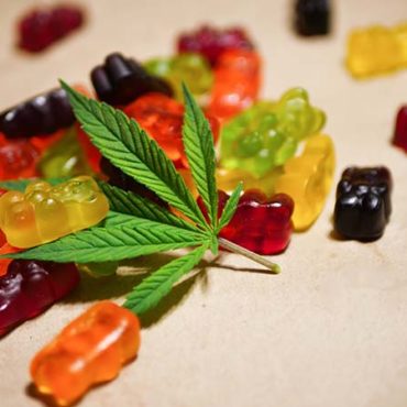 In The Weeds: Misconceptions Around Minnesota THC