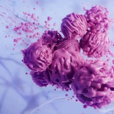 Alpheus Medical Raises $14M, Starts Clinical Trial