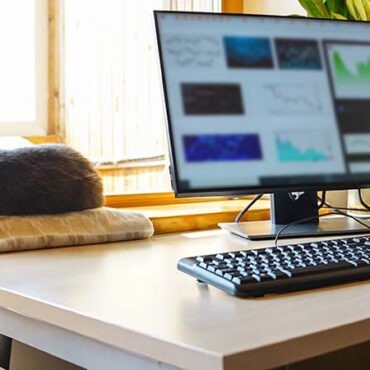 The Price of Remote Work