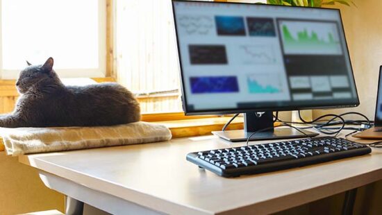 The Price of Remote Work