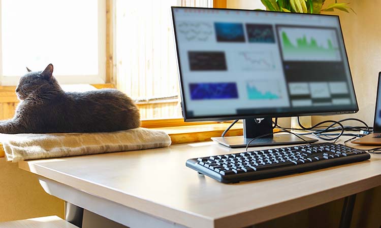 The Price of Remote Work