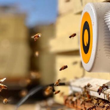 General Mills Invests in Pollination Tracking Firm