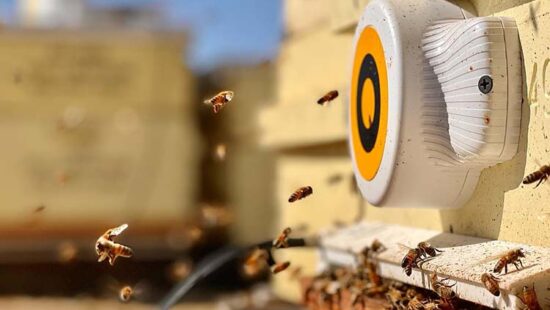 General Mills Invests in Pollination Tracking Firm