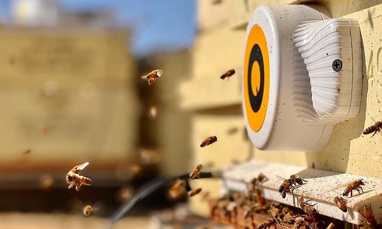 General Mills Invests in Pollination Tracking Firm