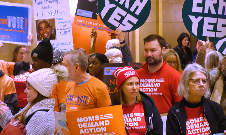 Why DFLers Hope They Can Pass a ‘Red Flag’ Law