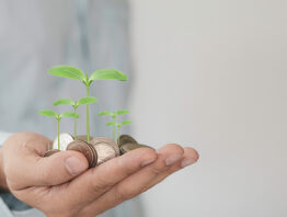 businessperson holding coins with trees on top