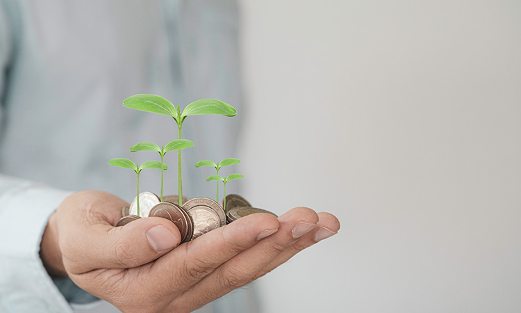 TCB Insights: Wealth Management Outlook