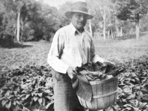 company founder F.A. Upsher Smith on his foxglove farm in Wayzata