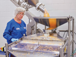 Woman working laboratory equipment