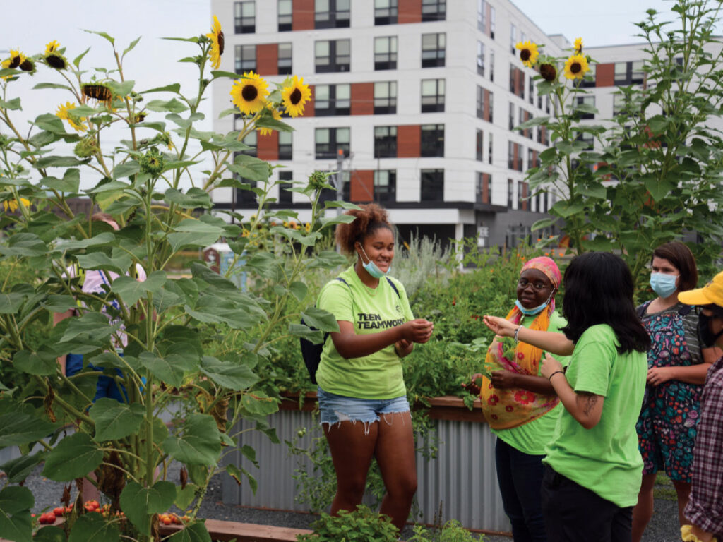 Mpls. Parks Teen Teamworks Garden Tour