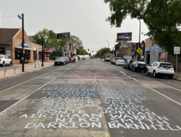 A section of Chicago Avenue between 37th and 39th streets bears the name of over 150 names of people killed by police across the country.