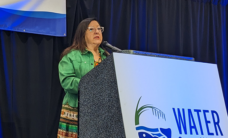 Melanie Benjamin, chief executive of the Mille Lacs Band of Ojibwe, launching a campaign against a nickel mine near tribal land at an event in downtown St. Paul in March.