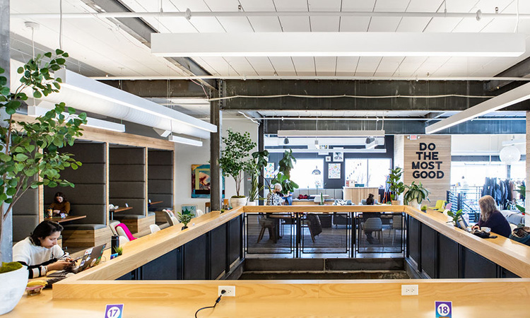 The Coven Launches Crowdfunding Effort