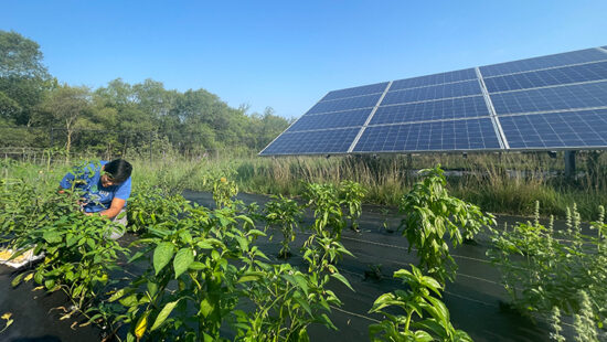 USDA Officials Tout Solar Projects in Minnesota
