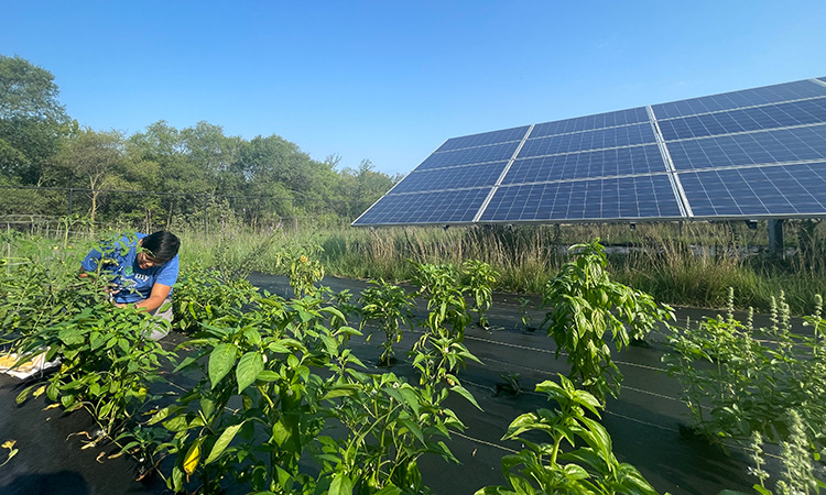 USDA Officials Tout Solar Projects in Minnesota