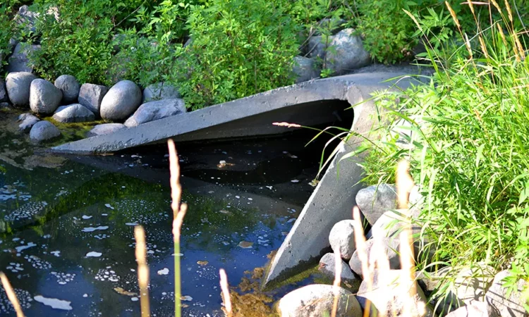 Minnesota Grant Program Aims to Prep Cities for Extreme Weather