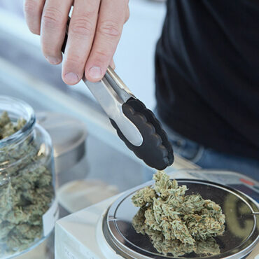 Minnesota Rolls Out Two Cannabis Funding Programs