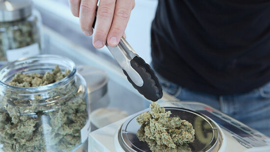 Slow Going on Cannabis Licensing in Minnesota