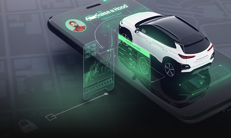 MN Cup Announces Nine Division Winners