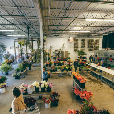How a MN Flower Wholesaler Stays Alive Through Winter