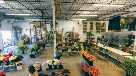 How a MN Flower Wholesaler Stays Alive Through Winter