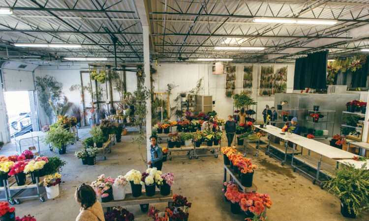 How a MN Flower Wholesaler Stays Alive Through Winter
