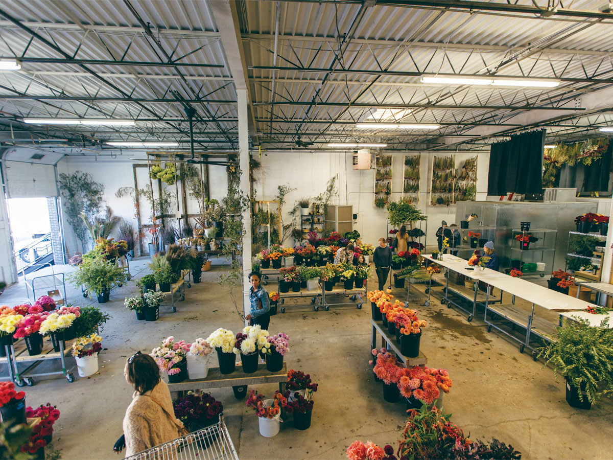 How a MN Flower Wholesaler Stays Alive Through Winter