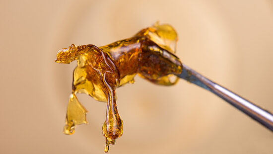 How Minnesota’s Cannabis Law Aims to Curb Hash Oil Explosions