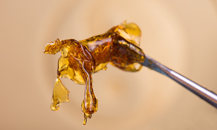 How Minnesota’s Cannabis Law Aims to Curb Hash Oil Explosions