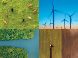 Conceptual illustration of green business practices in the face of global warming