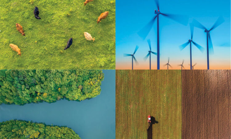 How Minnesota’s Biggest Businesses Fight Global Warming