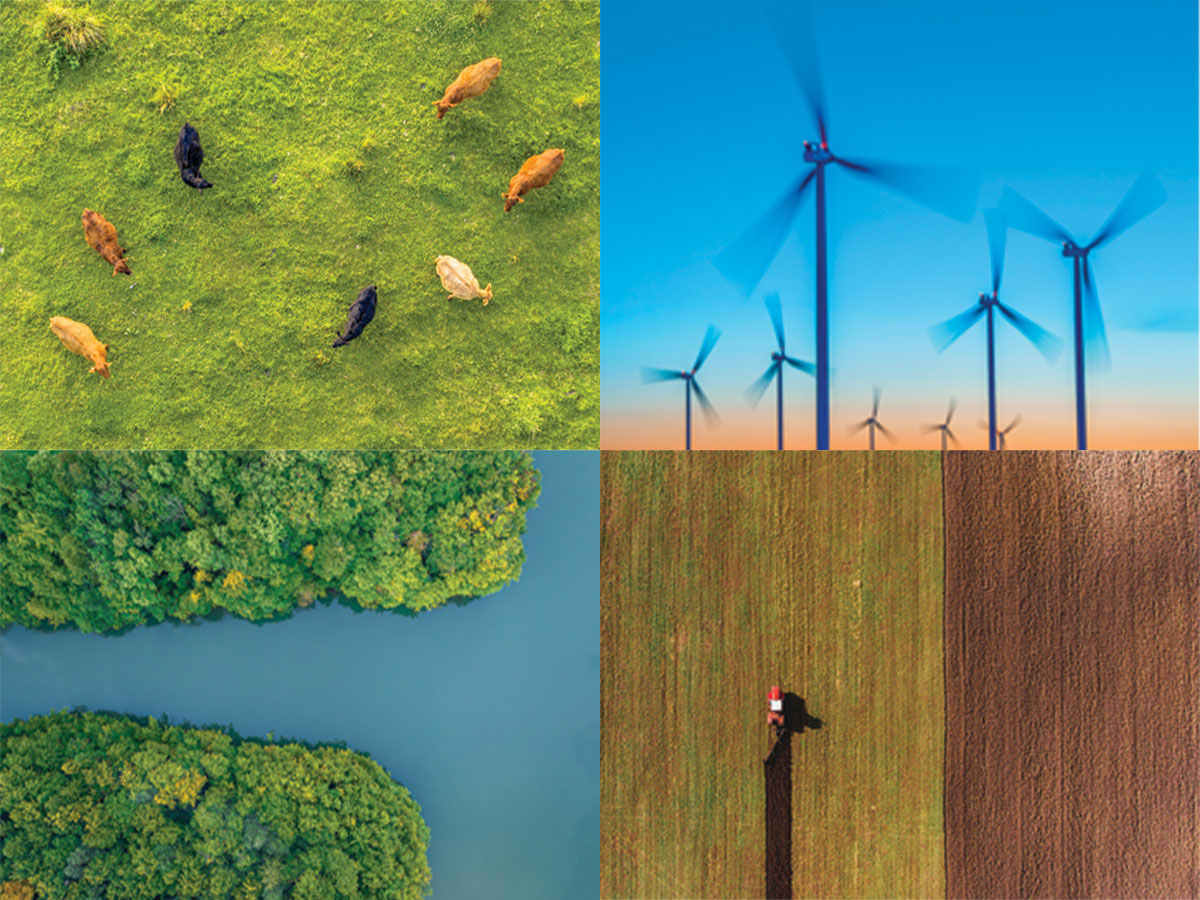 How Minnesota’s Biggest Businesses Fight Global Warming