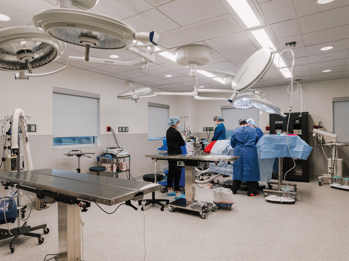 Animal Emergency & Referral Center of Minnesota