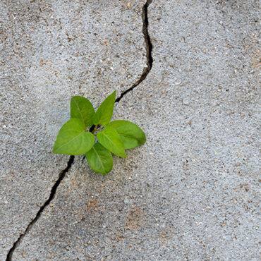 Adding a Dose of Patience to Your DEI Practice