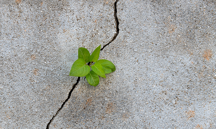 Adding a Dose of Patience to Your DEI Practice