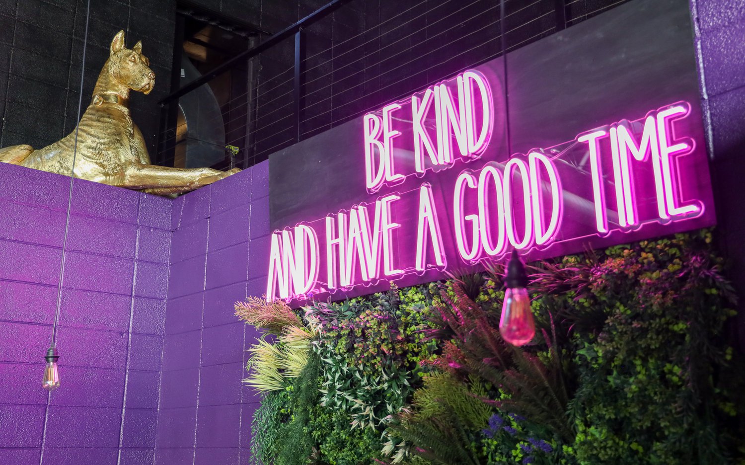 Could Lush Become a Nonprofit?