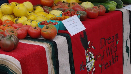 Nine Minnesota Nonprofits Land MacKenzie Scott Gifts