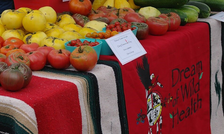 Nine Minnesota Nonprofits Land MacKenzie Scott Gifts