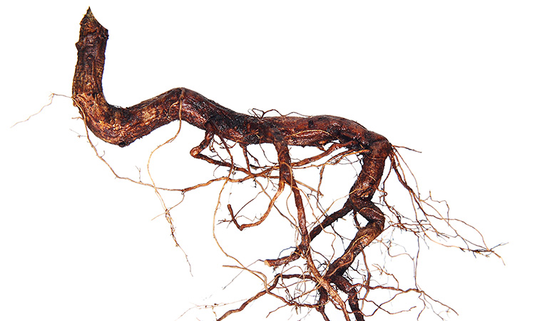 For Challenging Times, DEI Is The Anchor