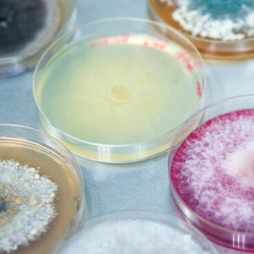 Startup Snapshot: Jord BioScience