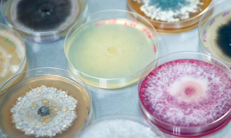 Startup Snapshot: Jord BioScience