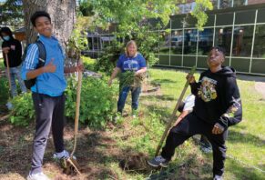 Youth Initiative: Spark-Y