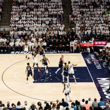 Wolves Back … in the Black?