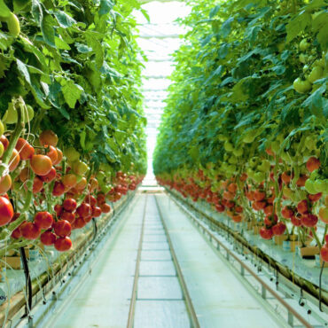 Bushel Boy to Pay $200K for Unpaid Overtime