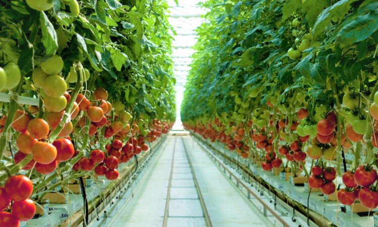 Bushel Boy to Pay $200K for Unpaid Overtime